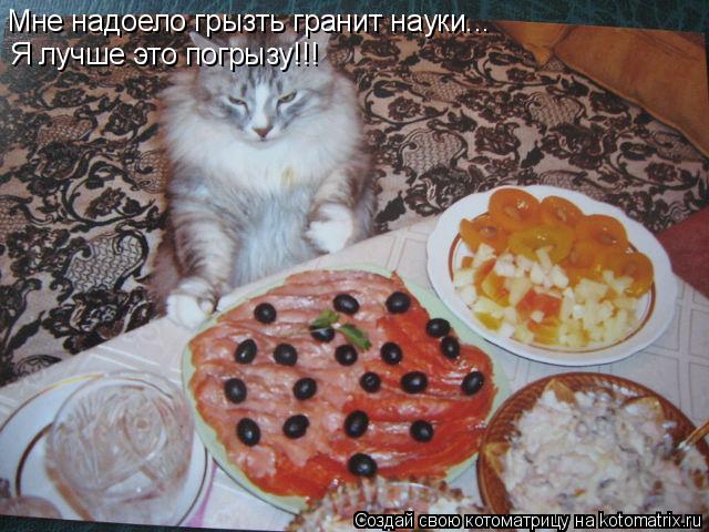 Котоматрица: Мне надоело грызть гранит науки... Я лучше это погрызу!!!