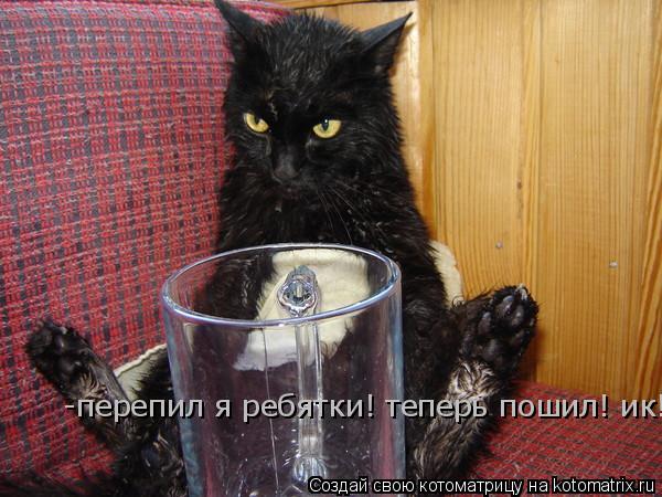 -перепил я ребятки! теперь пошил! ик!... Котоматрица: -перепил я ребятки! теперь пошил! ик!