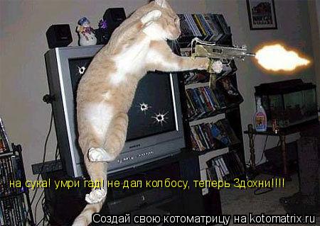 на сука! умри гад! не дал колбосу, теперь Здохни!!!!... Котоматрица: на сука! умри гад! не дал колбосу, теперь Здохни!!!!