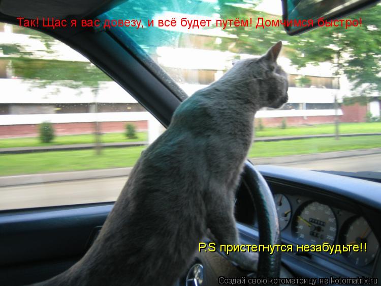Так! Щас я вас довезу, и всё будет путём! Домчимся быстро! P.S пристегнутся незабудьте!!... Котоматрица: Так! Щас я вас довезу, и всё будет путём! Домчимся быстро! P.S пристегнутся незабудьте!!