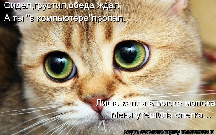 Сидел,грустил,обеда ждал, А ты "в компьютере"пропал. Лишь капля в миске молока Меня утешила слегка...... Котоматрица: Сидел,грустил,обеда ждал, А ты "в компьютере"пропал. Лишь капля в миске молока Меня утешила слегка...