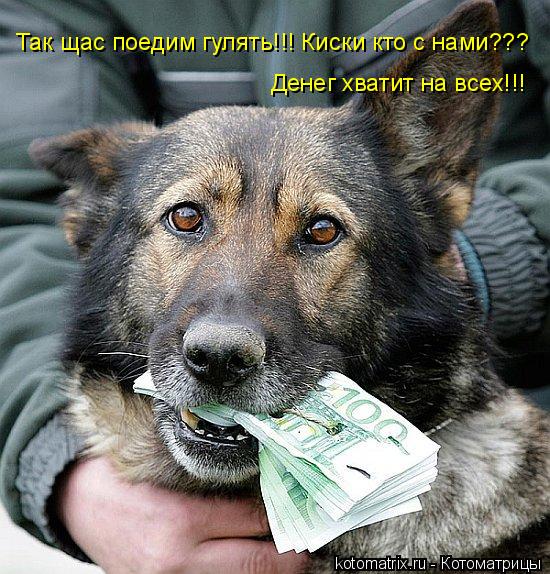 Так щас поедим гулять!!! Киски кто с нами??? Денег хватит на всех!!!... Котоматрица: Так щас поедим гулять!!! Киски кто с нами??? Денег хватит на всех!!!