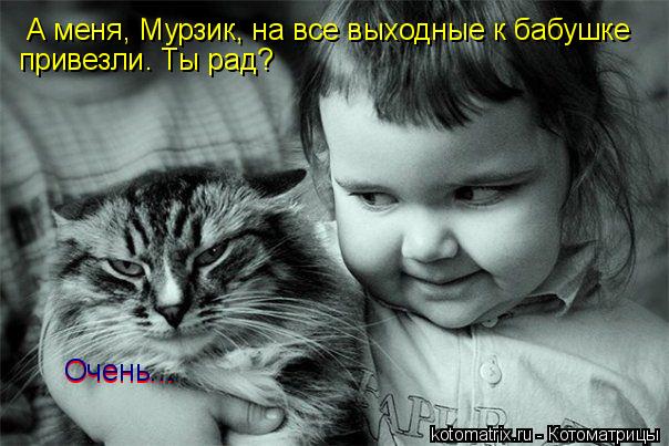А меня, Мурзик, на все выходные к бабушке привезли . Ты рад? Очень... Очень...... Котоматрица: А меня, Мурзик, на все выходные к бабушке привезли . Ты рад? Очень... Очень...
