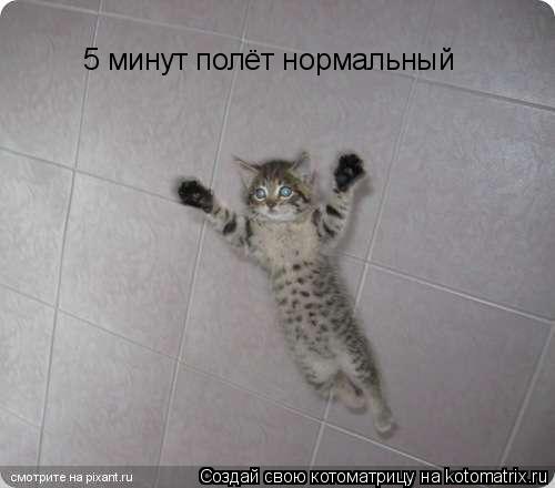 Котоматрица: 5 минут полёт нормальный