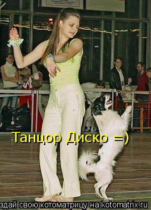 Котоматрица: Танцор Диско =)