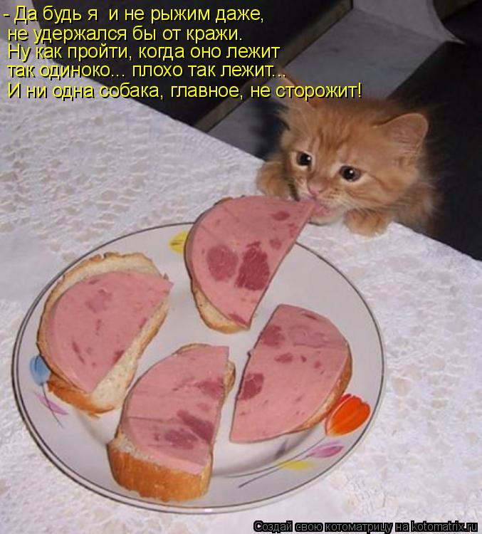 - Да будь я и не рыжим даже, не удержался бы от кражи. Ну как пройти, когда оно лежит так одиноко..... Котоматрица: - Да будь я и не рыжим даже, не удержался бы от кражи. Ну как пройти, когда оно лежит так одиноко... плохо так лежит... И ни одна собака, главное,