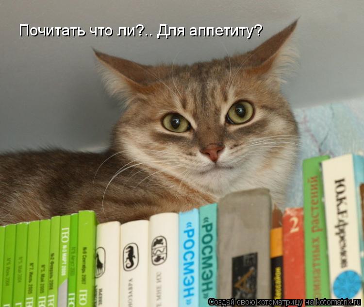 Котоматрица: Почитать что ли?.. Для аппетиту?