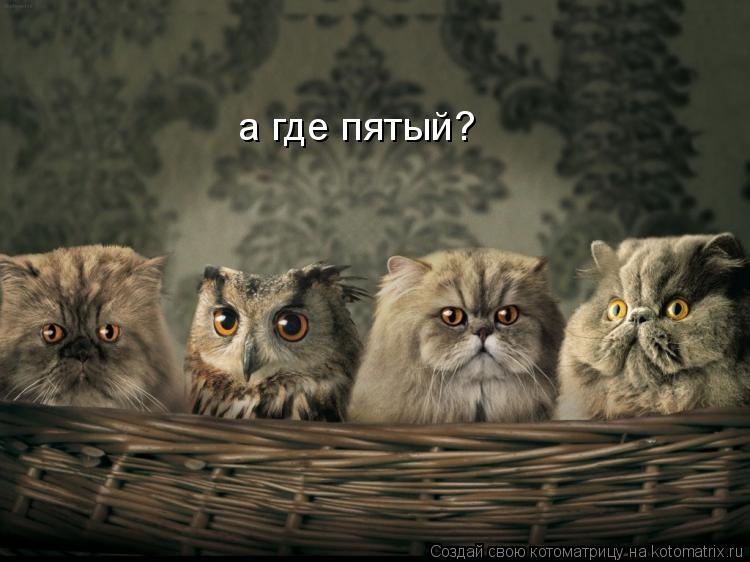 Котоматрица: а где пятый?