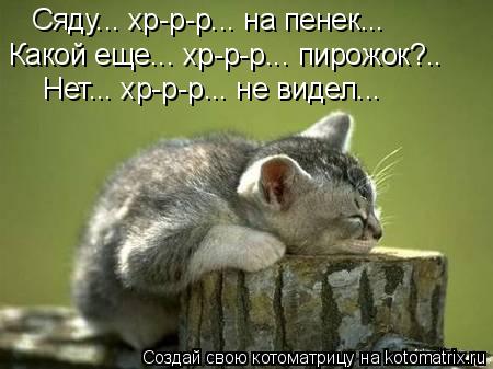Сяду... хр-р-р... на пенек... Какой еще... хр-р-р... пирожок?.. Нет... хр-р-р... не видел...... Котоматрица: Сяду... хр-р-р... на пенек... Какой еще... хр-р-р... пирожок?.. Нет... хр-р-р... не видел...