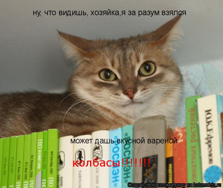 Котоматрица: ну, что видишь, хозяйка,я за разум взялся может дашь вкусной вареной колбасы!!!!!!!