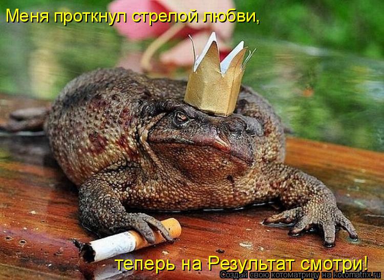 Меня проткнул стрелой любви, теперь на Результат смотри!... Котоматрица: Меня проткнул стрелой любви, теперь на Результат смотри!