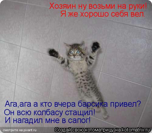 Хозяин ну возьми на руки! Я же хорошо себя вел. Ага,ага а кто вчера барсика привел? Он всю колбасу ст... Котоматрица: Хозяин ну возьми на руки! Я же хорошо себя вел. Ага,ага а кто вчера барсика привел? Он всю колбасу стащил! И нагадил мне в сапог!