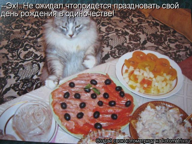 --Эх!..Не ожидал,чтопридётся праздновать свой день рождения в одиночестве!... Котоматрица: --Эх!..Не ожидал,чтопридётся праздновать свой день рождения в одиночестве!