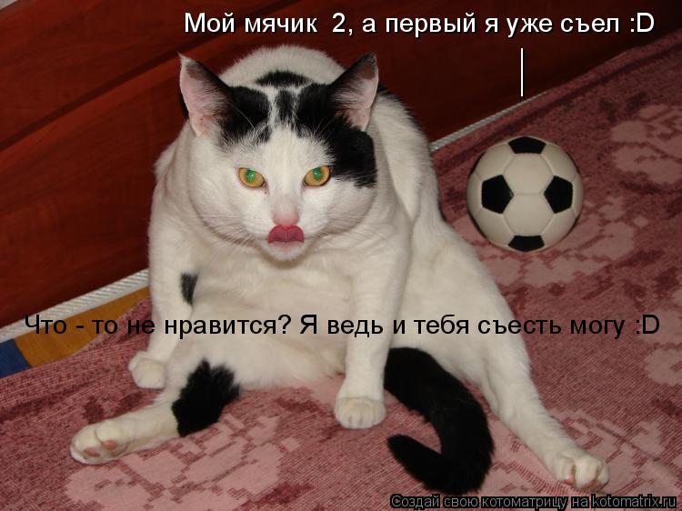 Что - то не нравится? Я ведь и тебя съесть могу :D Мой мячик №2, а первый я уже съел :D | Мой мячик №... Котоматрица: Что - то не нравится? Я ведь и тебя съесть могу :D Мой мячик №2, а первый я уже съел :D | Мой мячик №2, а первый я уже съел :D |