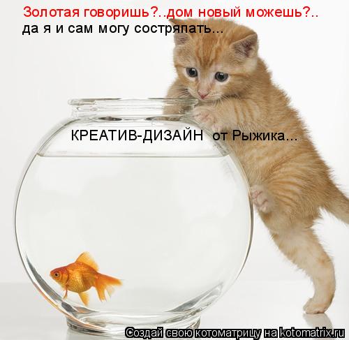 Золотая говоришь?..дом новый можешь?.. да я и сам могу состряпать... КРЕАТИВ-ДИЗАЙН от Рыжика...... Котоматрица: Золотая говоришь?..дом новый можешь?.. да я и сам могу состряпать... КРЕАТИВ-ДИЗАЙН от Рыжика...