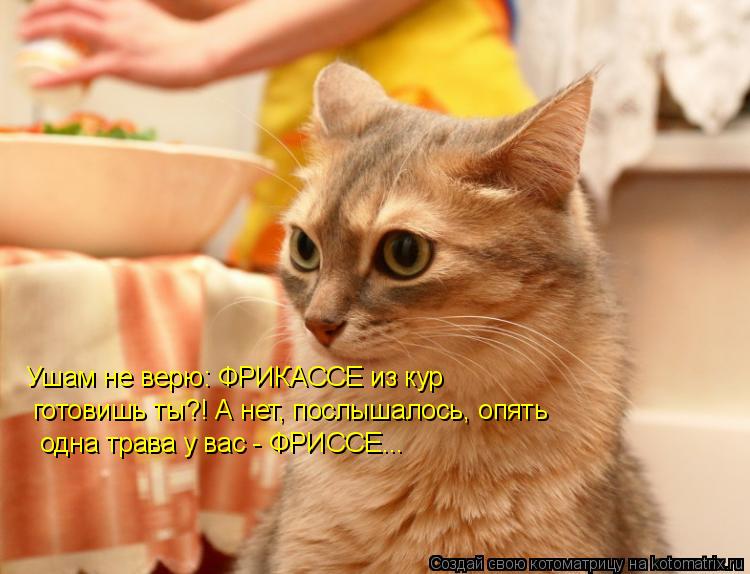 Ушам не верю: ФРИКАССЕ из кур готовишь ты?! А нет, послышалось, опять одна трава у вас - ФРИССЕ...... Котоматрица: Ушам не верю: ФРИКАССЕ из кур готовишь ты?! А нет, послышалось, опять одна трава у вас - ФРИССЕ...