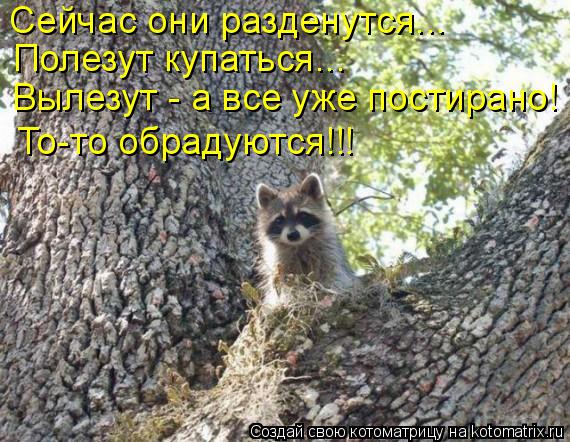 Сейчас они разденутся... Полезут купаться... Вылезут - а все уже постирано! То-то обрадуются!!!... Котоматрица: Сейчас они разденутся... Полезут купаться... Вылезут - а все уже постирано! То-то обрадуются!!!