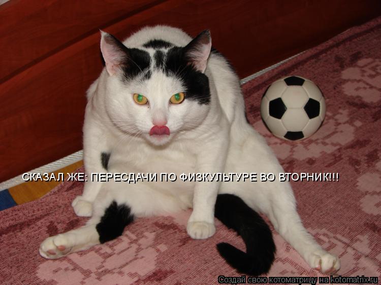 СКАЗАЛ ЖЕ: ПЕРЕСДАЧИ ПО ФИЗКУЛЬТУРЕ ВО ВТОРНИК!!!... Котоматрица: СКАЗАЛ ЖЕ: ПЕРЕСДАЧИ ПО ФИЗКУЛЬТУРЕ ВО ВТОРНИК!!!