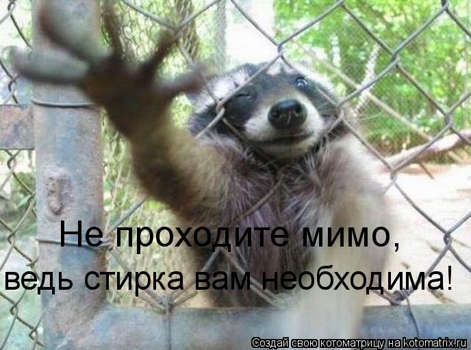 Не проходите мимо, ведь стирка вам необходима!... Котоматрица: Не проходите мимо, ведь стирка вам необходима!