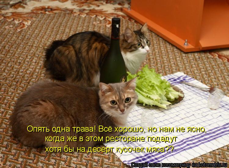 Котоматрица: Опять одна трава! Всё хорошо, но нам не ясно, когда же в этом ресторане подадут хотя бы на десерт кусочек мяса??