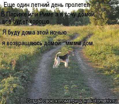 Котоматрица: Еще один летний день пролетел все будет хорошо Я буду дома этой ночью В Париже или Риме а я хочу домой я возвращаюсь домой...мммм дом.