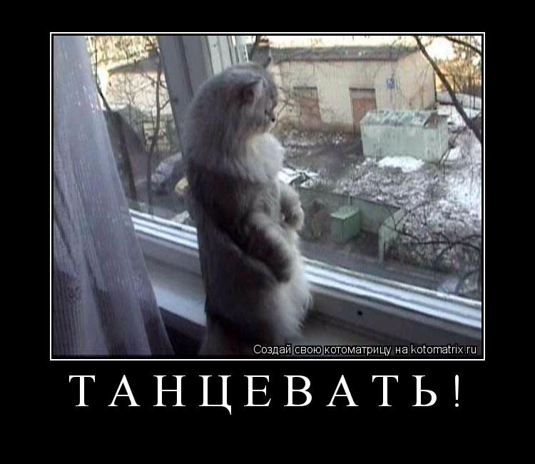 Котоматрица: Танцевать! 