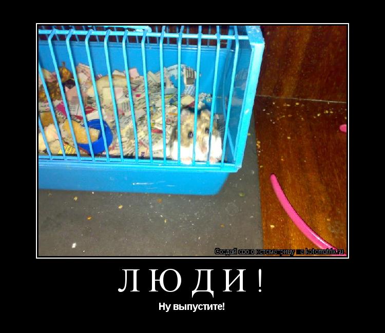 Люди! Ну выпустите!... Котоматрица: Люди! Ну выпустите!
