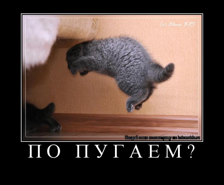 Котоматрица: По пугаем? 