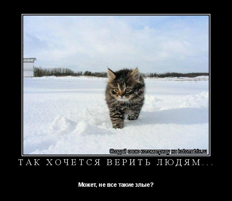 Котоматрица: ТАК ХОЧЕТСЯ ВЕРИТЬ ЛЮДЯМ... Может, не все такие злые?