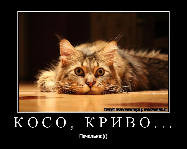 Косо, криво... Печалька:(((... Котоматрица: Косо, криво... Печалька:(((
