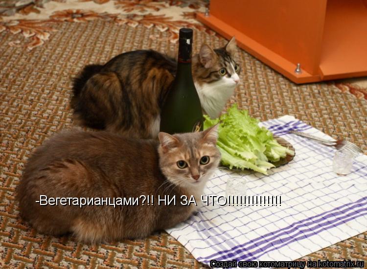Котоматрица: -Вегетарианцами?!! НИ ЗА ЧТО!!!!!!!!!!!!!!