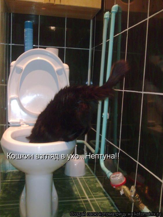 Котоматрица: Кошкин взгляд в ухо...Нептуна!!