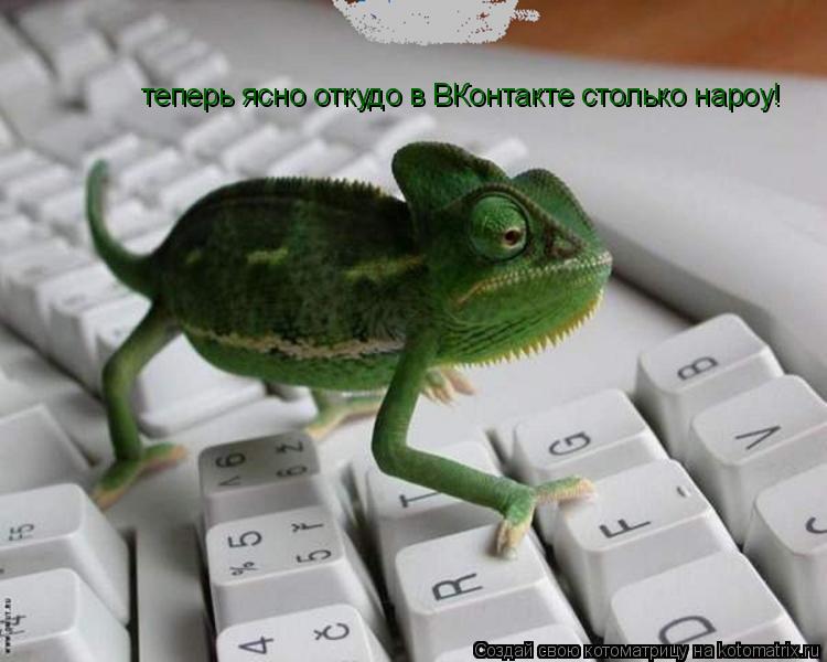Котоматрица: теперь ясно откудо в ВКонтакте столько нароу!
