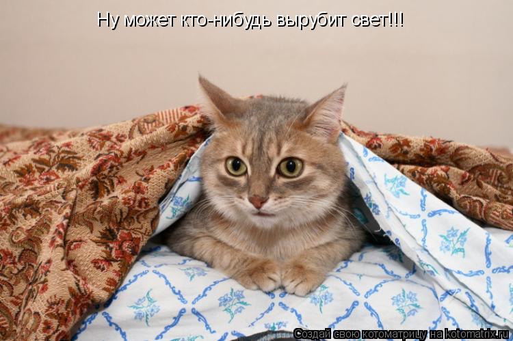 Котоматрица: Ну может кто-нибудь вырубит свет!!!