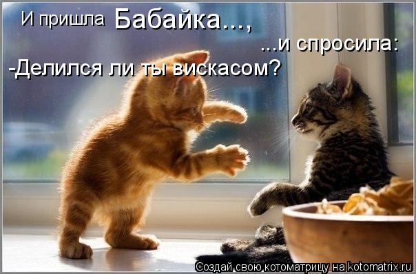 И пришла Бабайка..., ...и спросила: -Делился ли ты вискасом?... Котоматрица: И пришла Бабайка..., ...и спросила: -Делился ли ты вискасом?