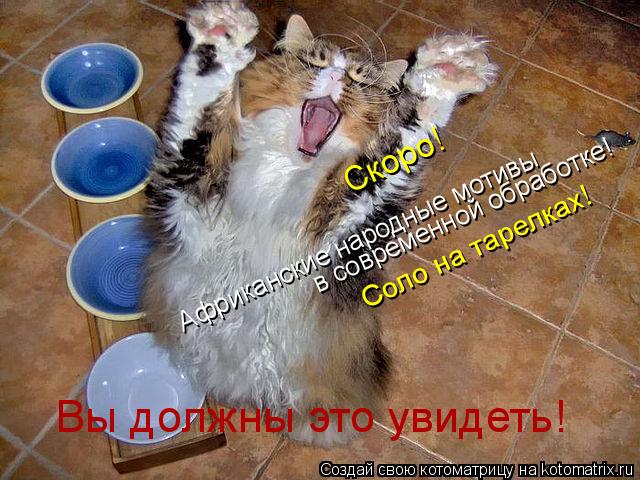 Котоматрица: Африканские народные мотивы в современной обработке! Соло на тарелках! Скоро! Вы должны это увидеть!