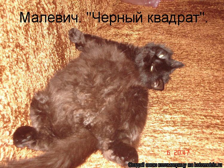 Котоматрица: Малевич. "Черный квадрат".