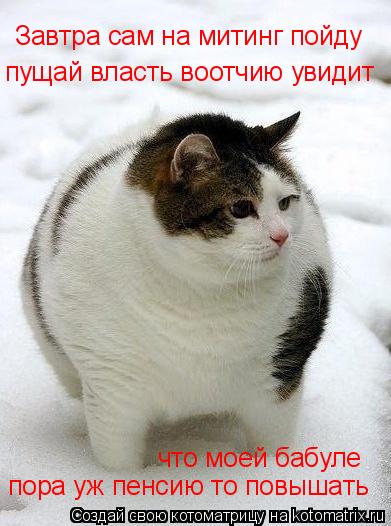 Котоматрица: Завтра сам на митинг пойду пущай власть воотчию увидит  что моей бабуле  пора уж пенсию то повышать
