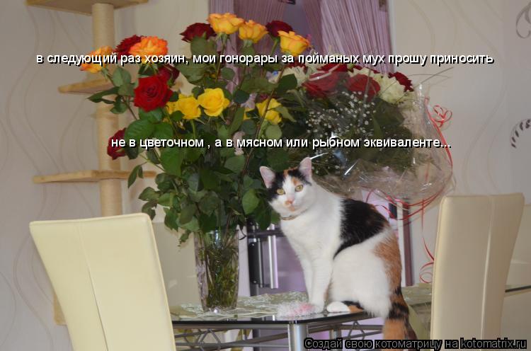 Котоматрица: в следующий раз хозяин, мои гонорары за пойманых мух прошу приносить не в цветочном , а в мясном или рыбном эквиваленте...