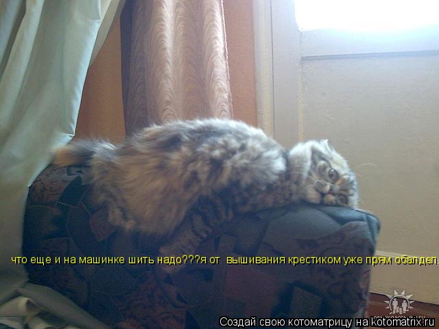 Котоматрица: что еще и на машинке шить надо???я от  вышивания крестиком уже прям обалдел...