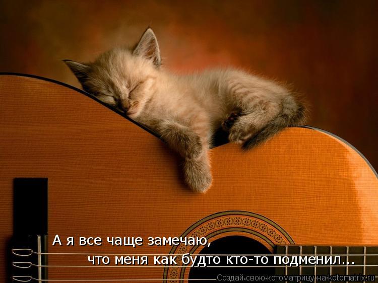 А я все чаще замечаю, что меня как будто кто-то подменил... что меня как будто кто-то подменил...... Котоматрица: А я все чаще замечаю, что меня как будто кто-то подменил... что меня как будто кто-то подменил...