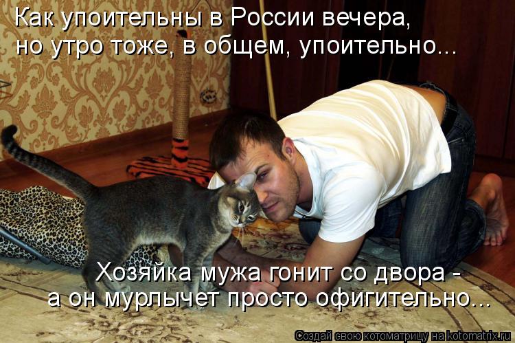 Как упоительны в России вечера, Хозяйка мужа гонит со двора - а он мурлычет просто офигительно... н... Котоматрица: Как упоительны в России вечера, Хозяйка мужа гонит со двора - а он мурлычет просто офигительно... но утро тоже, в общем, упоительно...