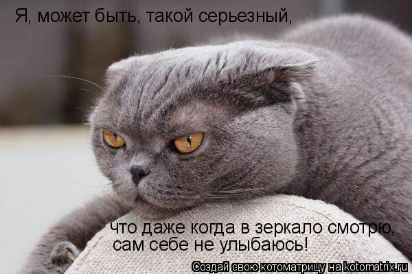 Я, может быть, такой серьезный, сам себе не улыбаюсь! что даже когда в зеркало смотрю,... Котоматрица: Я, может быть, такой серьезный, сам себе не улыбаюсь! что даже когда в зеркало смотрю,