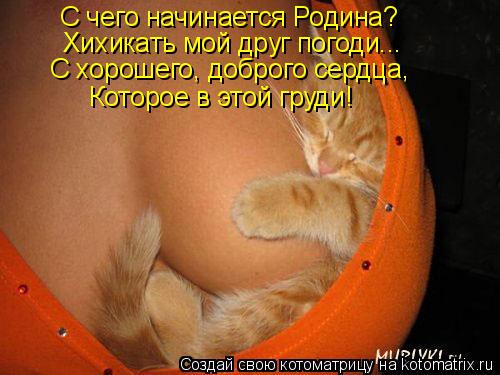 С чего начинается Родина? Хихикать мой друг погоди... С хорошего, доброго сердца, Которое в этой груд... Котоматрица: С чего начинается Родина? Хихикать мой друг погоди... С хорошего, доброго сердца, Которое в этой груди!