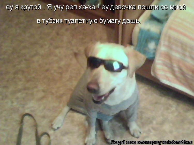 ёу я крутой . Я учу реп ха-ха ! ёу девочка пошли со мной в тубзик туалетную бумагу дашь.... Котоматрица: ёу я крутой . Я учу реп ха-ха ! ёу девочка пошли со мной в тубзик туалетную бумагу дашь.