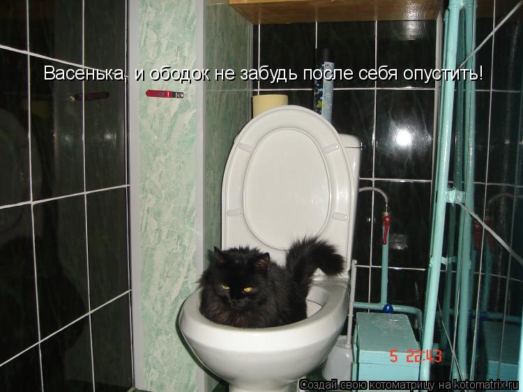 Васенька, и ободок не забудь после себя опустить!... Котоматрица: Васенька, и ободок не забудь после себя опустить!