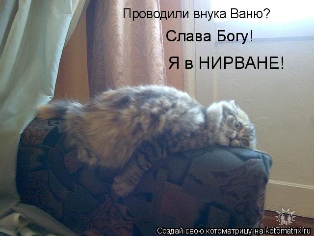 Котоматрица: Проводили внука Ваню? Слава Богу! Я в НИРВАНЕ!