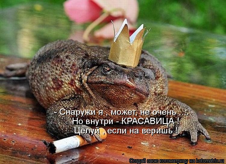- Снаружи я , может, не очень .... Но внутри - КРАСАВИЦА ! Целуй , если на веришь !... Котоматрица: - Снаружи я , может, не очень .... Но внутри - КРАСАВИЦА ! Целуй , если на веришь !