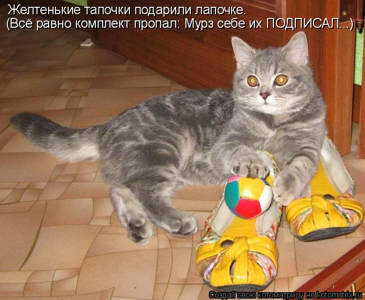 Желтенькие тапочки подарили лапочке. (Всё равно комплект пропал: Мурз себе их ПОДПИСАЛ...)... Котоматрица: Желтенькие тапочки подарили лапочке. (Всё равно комплект пропал: Мурз себе их ПОДПИСАЛ...)