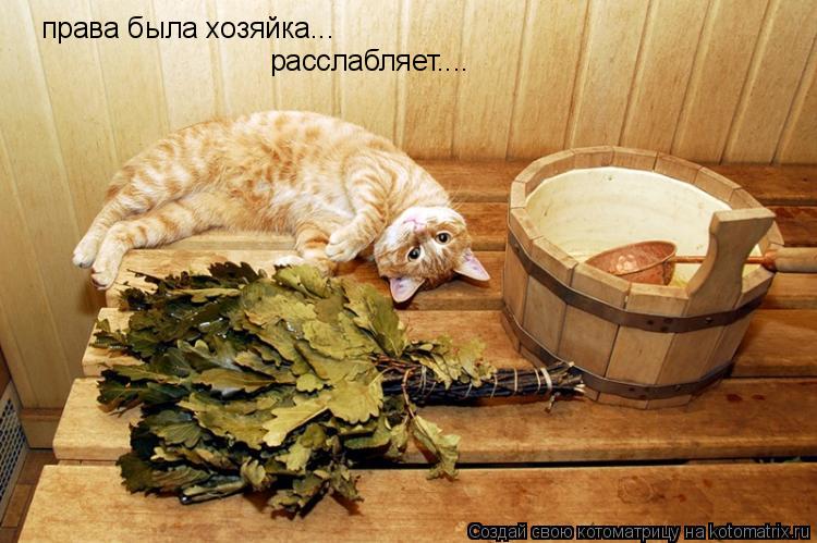 права была хозяйка... расслабляет....... Котоматрица: права была хозяйка... расслабляет....